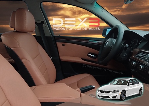 [S0003] TAPIZADO DE VEHICULO 